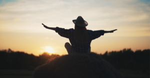 Create Your Own Online Business for Modern Wealthy Freedom